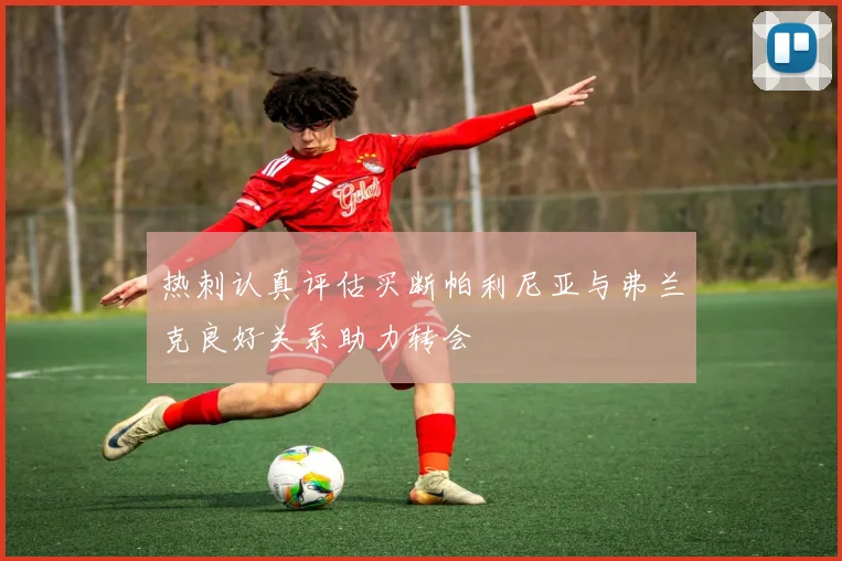 热刺认真评估买断帕利尼亚与弗兰克良好关系助力转会