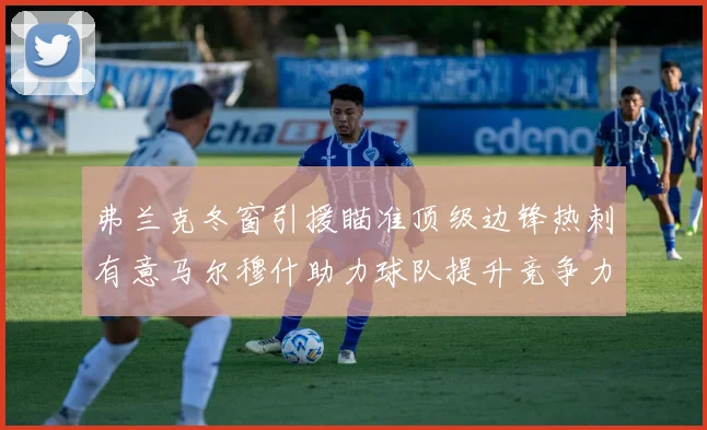 弗兰克冬窗引援瞄准顶级边锋热刺有意马尔穆什助力球队提升竞争力