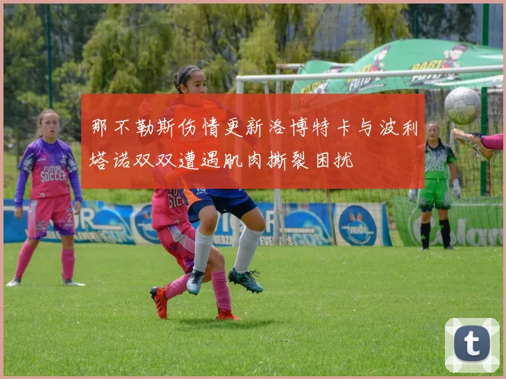 那不勒斯伤情更新洛博特卡与波利塔诺双双遭遇肌肉撕裂困扰