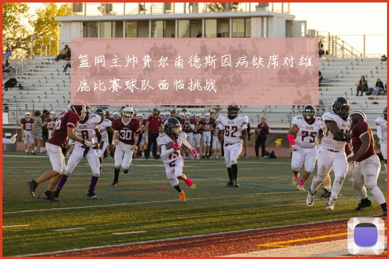 篮网主帅费尔南德斯因病缺席对雄鹿比赛球队面临挑战