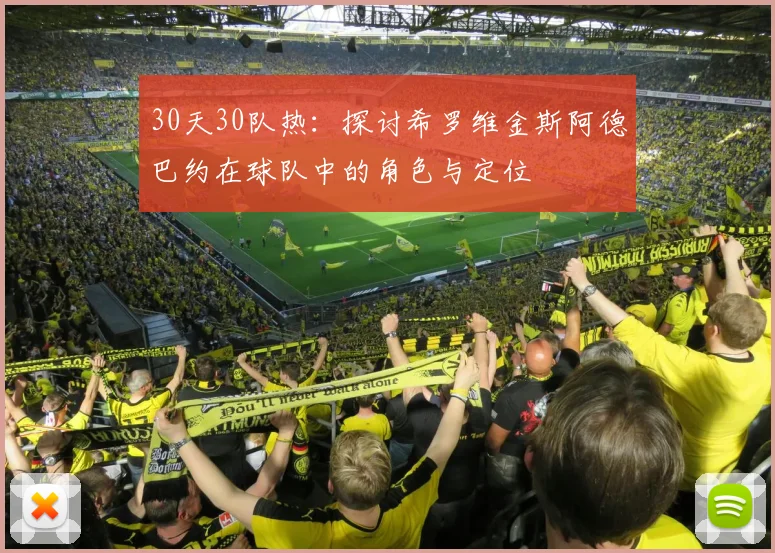 30天30队热：探讨希罗维金斯阿德巴约在球队中的角色与定位