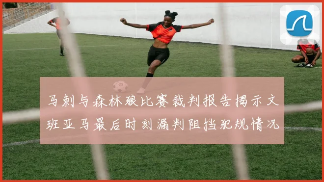 马刺与森林狼比赛裁判报告揭示文班亚马最后时刻漏判阻挡犯规情况
